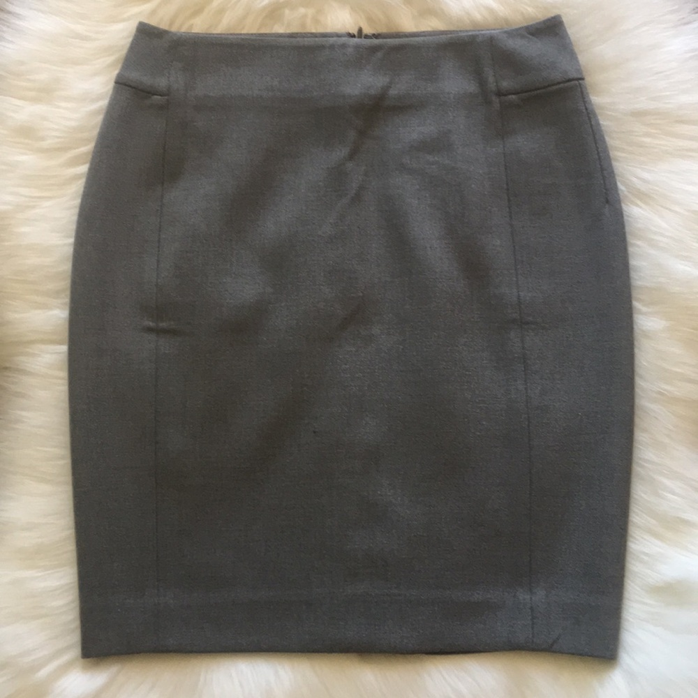 Ann Taylor LOFT Skirt